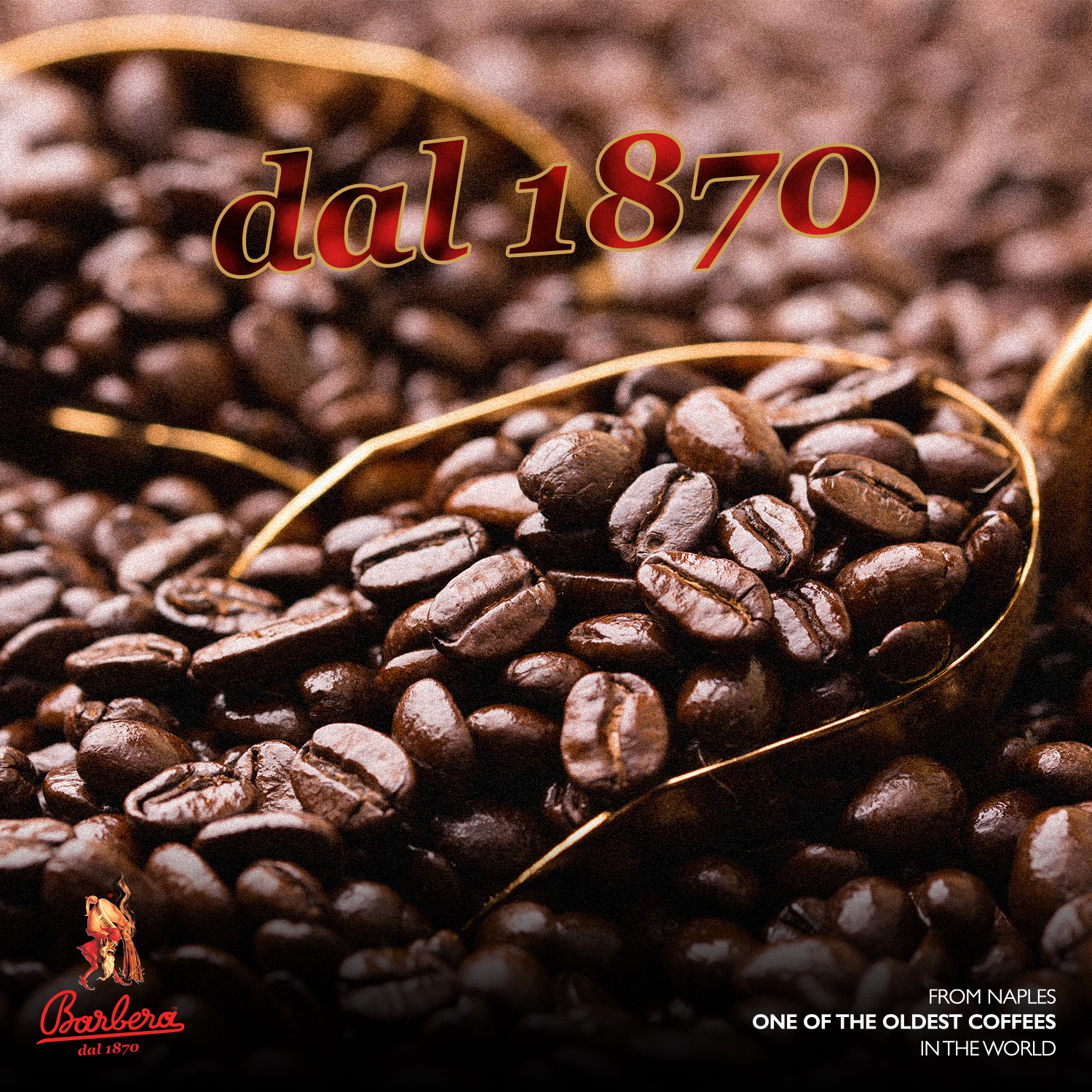 Caffe Barbera